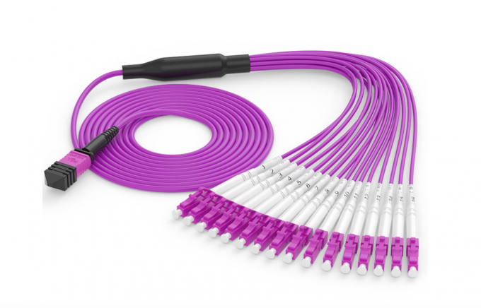 OM4 MPO MTP Patch Cord LC SC  Connector 8 12 24 Core  Pink Violet LSZH Cover 2