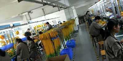 KOCENT OPTEC LIMITED