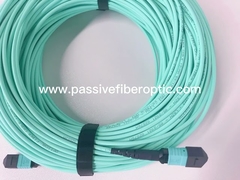 50m 77m 100m OM4 MPO MTP Elite Trunk Cable