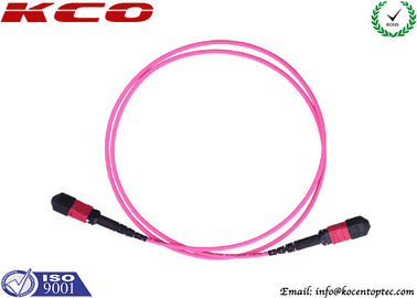 Multimode OM4 12fibers 24fibers 48fibers MPO MTP Trunk Cable LSZH Violet Pink Color