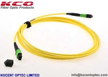 8cores 12cores 24cores MPO MTP Optic Fiber Patch Cord SM 9/125 Single Mode LSZH Type A / B / C