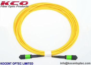 8cores 12cores 24cores MPO MTP Optic Fiber Patch Cord SM 9/125 Single Mode LSZH Type A / B / C