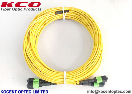 MPO APC 24fo 48cores G657A1 Elite Insertion Loss  MTP Fibra Optica Trunk Patch Cable