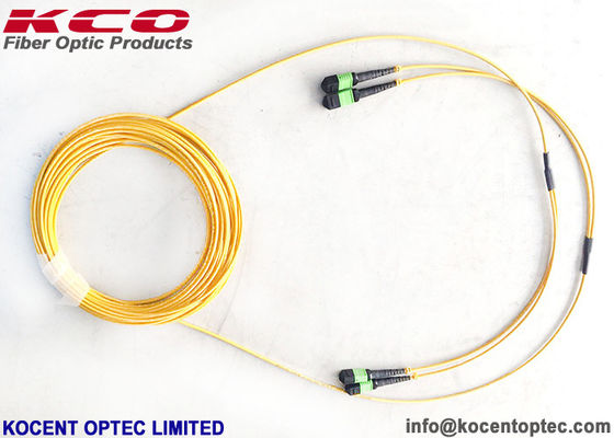 MPO APC 24fo 48cores G657A1 Elite Insertion Loss  MTP Fibra Optica Trunk Patch Cable