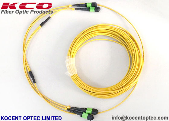 MPO APC 24fo 48cores G657A1 Elite Insertion Loss  MTP Fibra Optica Trunk Patch Cable